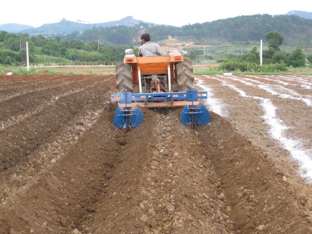 Công Ty TNHH Da Sa Thảo Mộc